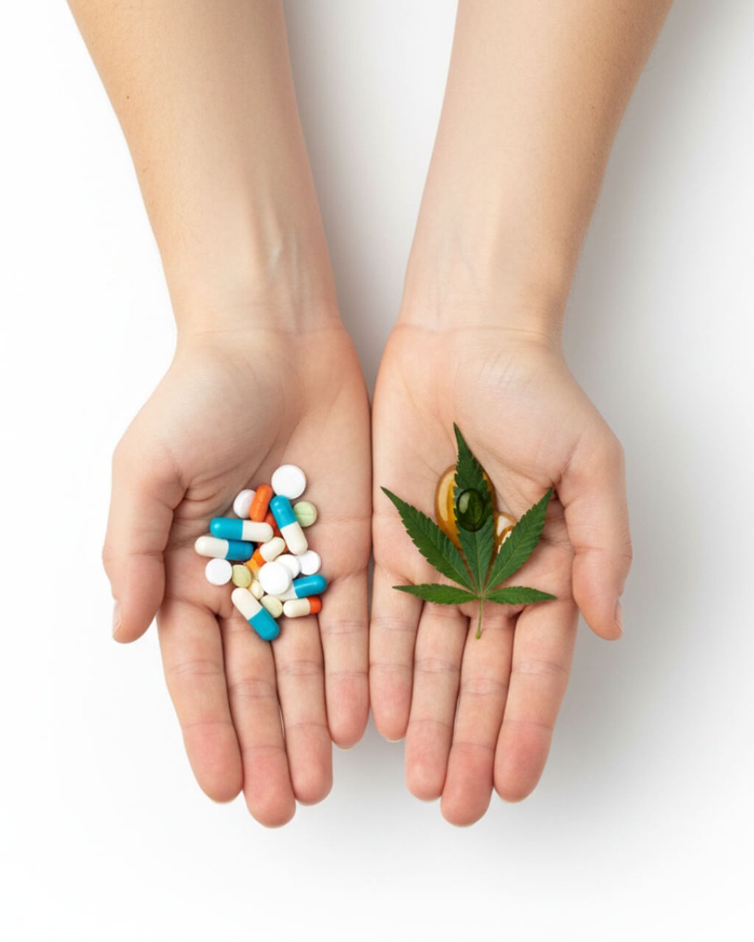 Tratamento Convencional vs. Cannabis Medicinal: Entenda as Diferenças Essenciais