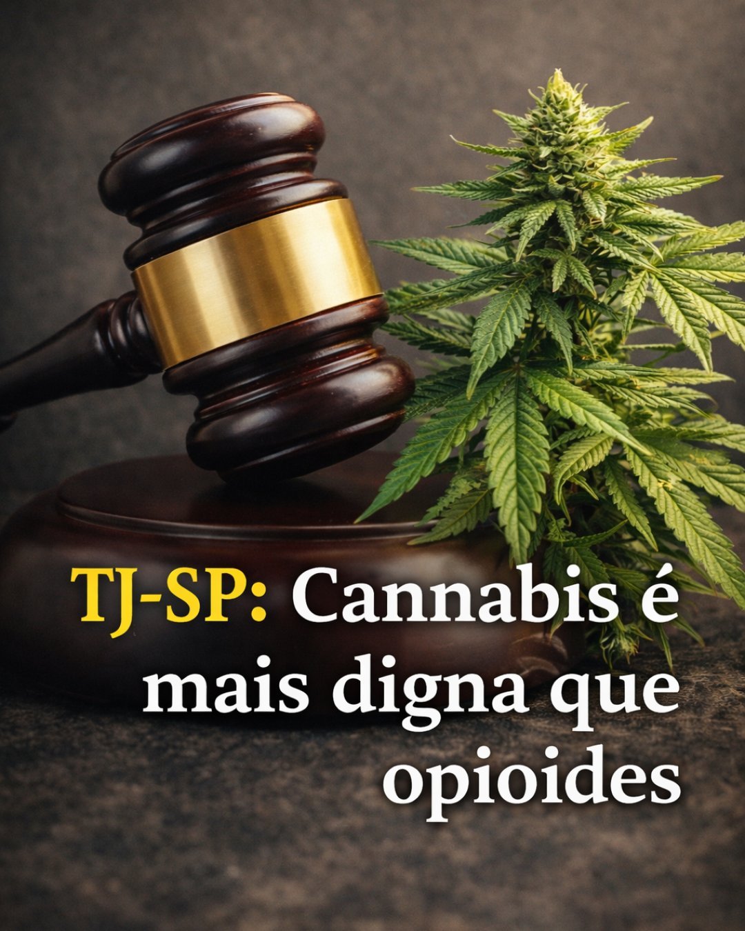 Opioide ou Cannabis? O TJ-SP Decide que o Estado não pode te Escravizar em Drogas Pesadas
